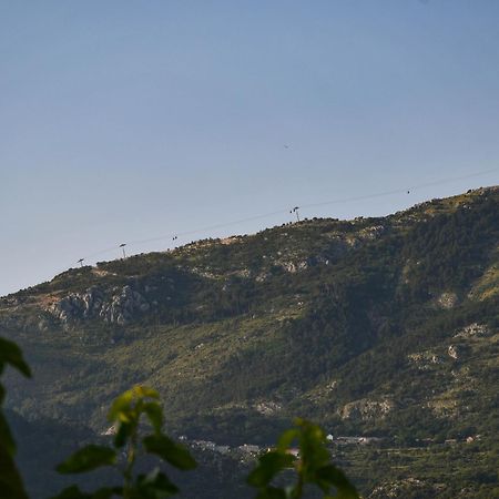 Raj Apartment Kotor Bagian luar foto