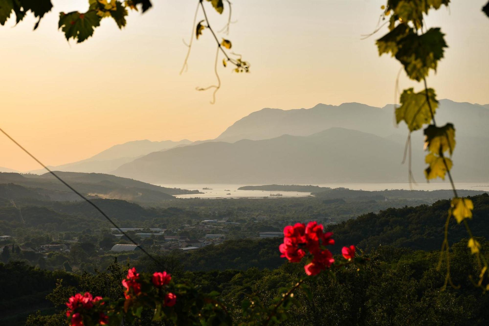 Raj Apartment Kotor Bagian luar foto